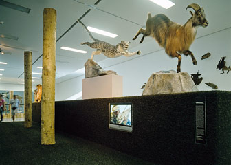Wilderer – Tiroler Landesmuseum Ferdinandeum